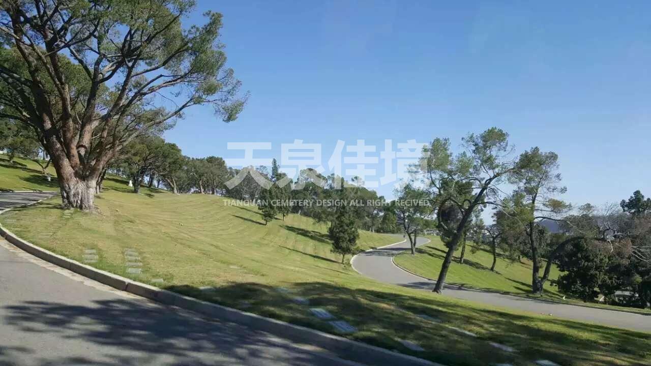 公墓设计图